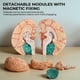 thumbnail image 3 of Modelo de Cerebro Avarstic de 8 Partes Magnéticas Desmontables en PVC de 16 cm, 3 of 7