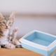 thumbnail image 3 of Arenero Caja Semicerrada Para Gatos Mascotas Hogar Lau, 3 of 3