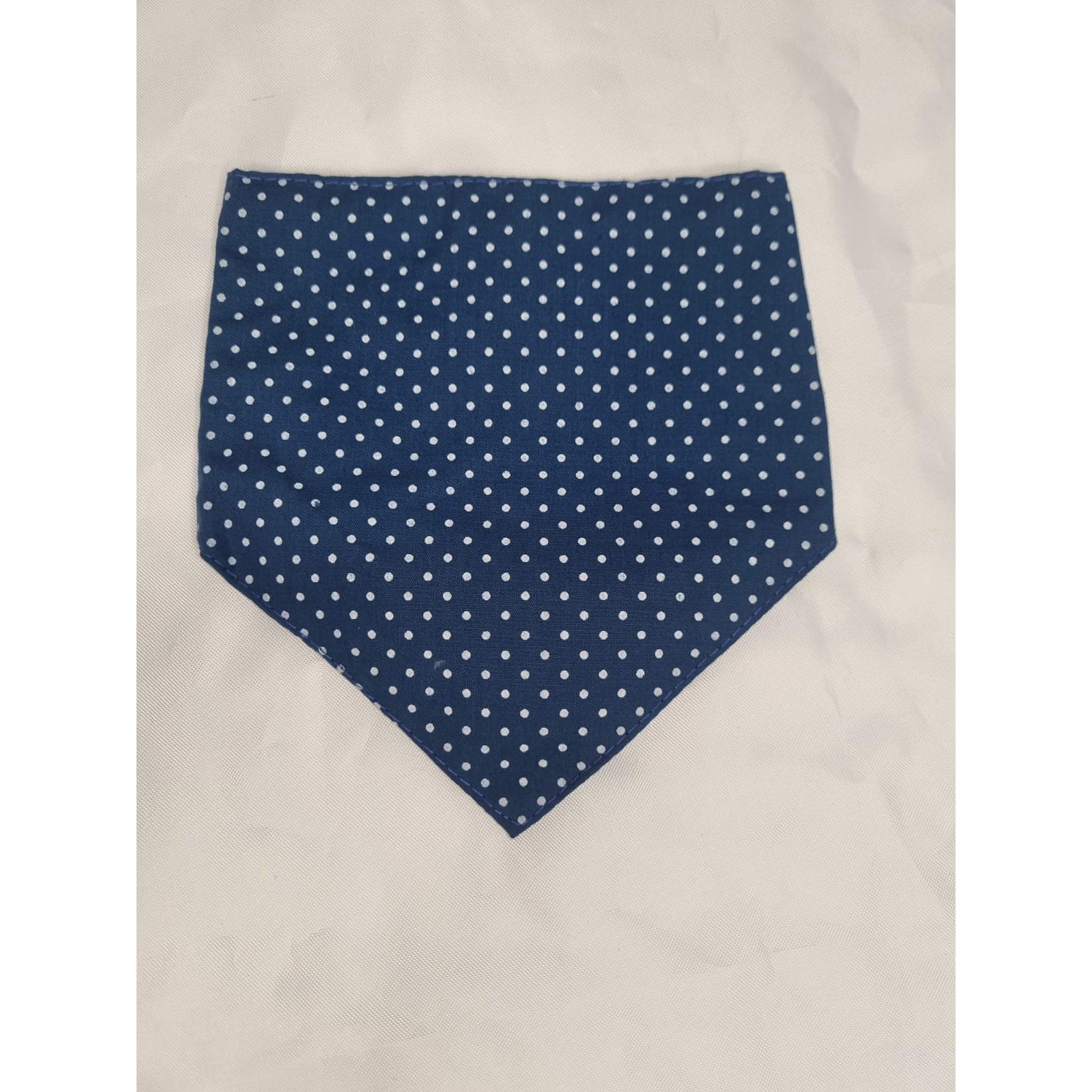 Bandana mascota petróleo puntos talla XS
