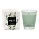 thumbnail image 1 of Candle NEST New York, menta silvestre y eucalipto, 240 ml, con 60 horas de combustión, 1 of 7