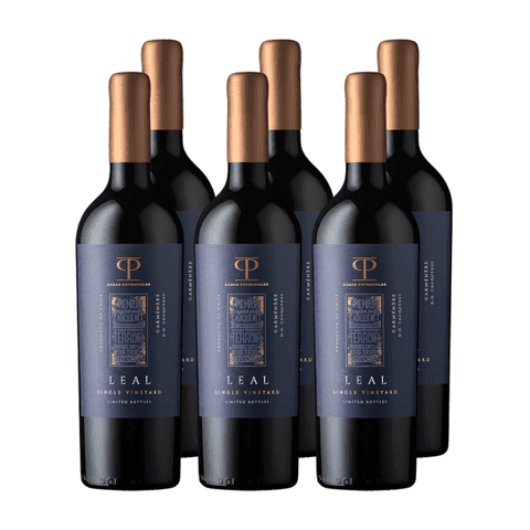 Vino Casas Patronales Leal Carmenere X6