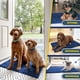 thumbnail image 5 of Felpudo para perros Muddy Mat®, microfibra superabsorbente, azul marino, 5 of 7