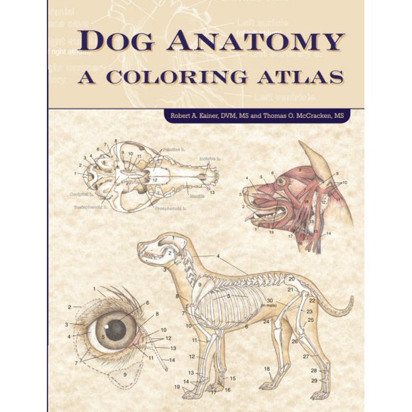 Libro Teton NewMedia: Anatomía del Perro