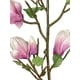 thumbnail image 2 of Magnolia Bud Stem Fuccia 84cm Con Acabado Natural, 2 of 2