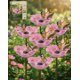 thumbnail image 1 of Estaca jardín flor metal hecha mano con baño abejas decoración exterior regalo polinizadores, 1 of 8
