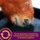 thumbnail image 5 of Electrolitos para caballos Farnam Horse Health Apple-Dex 2,27 kg, 5 of 9