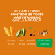thumbnail image 4 of Camu Camu orgánico 100 g, 4 of 5