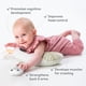 thumbnail image 4 of Almohada Ergonómica Taf Toys para Tiempo Boca Abajo con Juguetes, 4 of 6