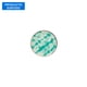 thumbnail image 1 of Plato Pan Celeste 8", 1 of 1