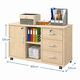 thumbnail image 3 of Mueble De Oficina Archivador Gabinete Con Llave Con Rueda Arce, 3 of 5