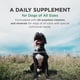 thumbnail image 3 of Suplemento Pet-Tabs Plus Multivitamínico para perros 60 comprimidos, 3 of 7