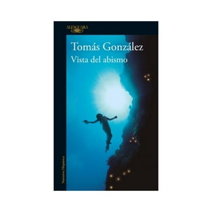 Penguin Random House - Libro Vista Del Abismo - Tomás González