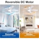 thumbnail image 2 of Ventilador de Techo Rayqueen 52 Pulgadas con Luz LED y Control Remoto, 2 of 3