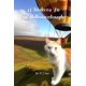 thumbnail image 1 of Libro Majosta Whiskers In Wildboarclough, 1 of 1