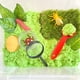 thumbnail image 2 of Box De Tin Marin - Dinosaurios, 2 of 2