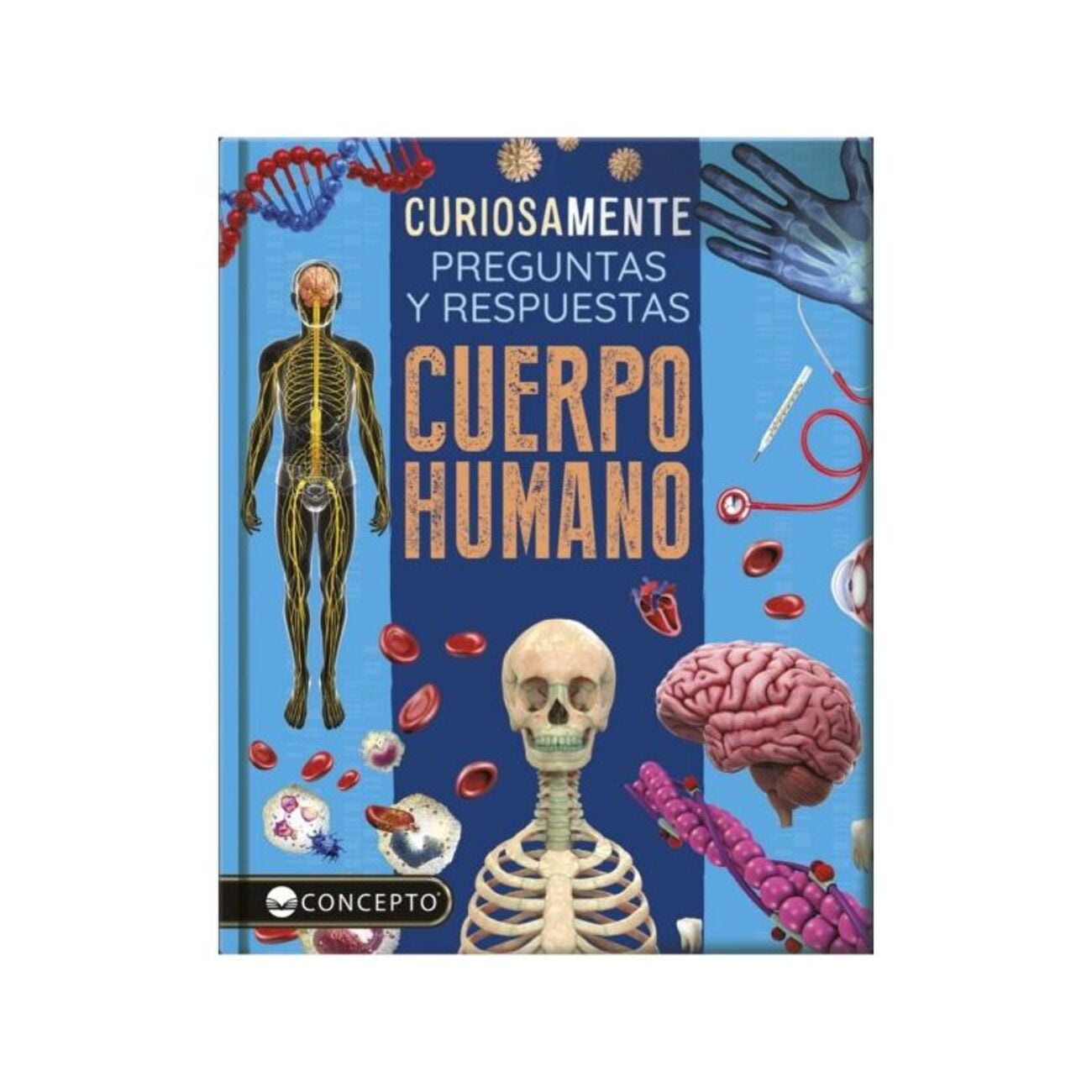 Latinbooks - Libro Curiosamente -cuerpo Humano - Equipo Editorial