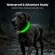 thumbnail image 4 of Collar para perro LIT&GO con luz LED, 7 colores, recargable por USB‑C, 4 of 8