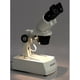 thumbnail image 5 of Microscopio estereoscópico AmScope SE305R-AZ con un aumento de 10-60X, 5 of 9