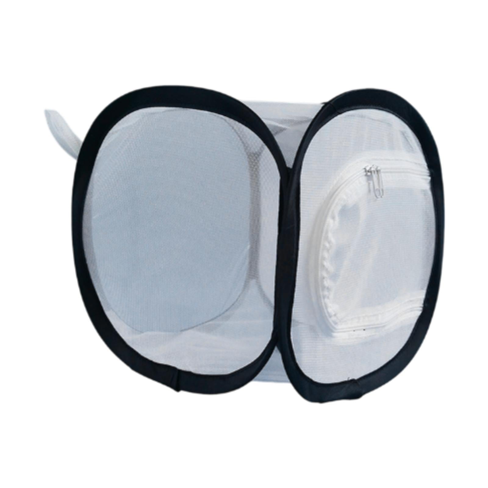 Jaula Plegable Para Insectos, Hábitat Para Orugas Y Saltamontes.