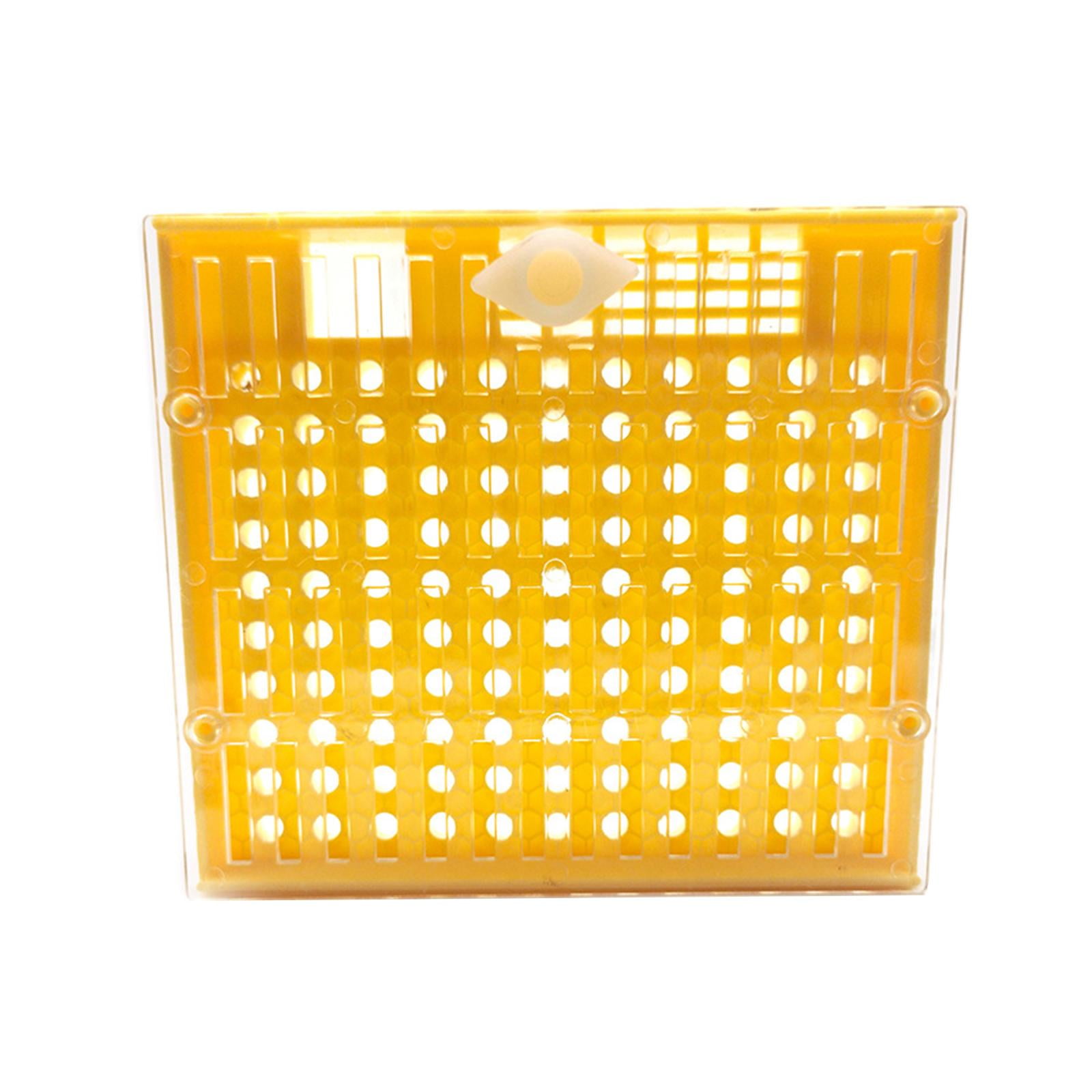 Magideal - Caja De Cría De Abejas, Jaula De Huevos De Alta Resistencia, Equipo De Cría Profesional De Alta Resistencia Para Suministros De Apicultura De Puerta