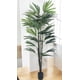 thumbnail image 3 of Planta Decorativa Palmera Raphis 150cm, 3 of 3