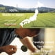 thumbnail image 5 of Té verde matcha en polvo KIMIKURA grado ceremonial 100 g, 5 of 6