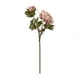 thumbnail image 1 of Planta Artificial Peonia Doble Rosada 70 Cm, 1 of 1