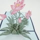 thumbnail image 3 of Beautiful 3D Lotus Pop Up Greeting Card - Perfect for Birthdays, Mother's Day, and More!, 3 of 4
