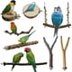 thumbnail image 1 of Perchas para Aves Acvxghe 8 Piezas Madera Natural, 1 of 3