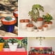 thumbnail image 2 of Set de 4 Maceta Kony 15cm Terra Verde y sus platos, 2 of 3