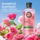 thumbnail image 2 of Shampoo Herbal Essences Suavidad Rosa Mosqueta, 240 ml, 2 of 4