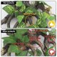 thumbnail image 5 of Decoración para terrario AQUA KT rama y roca 21 x 28 cm con ventosa, 5 of 7
