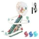 thumbnail image 1 of Track Slide Playset Teaching Aids Regalos Novedad Para Cumpleaños Fiestas Infantiles Verde, 1 of 5
