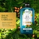 thumbnail image 3 of Shampoo Herbal Essences Bío:Renew Reparación Aceite de Argán, 865 ml, 3 of 9