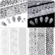 thumbnail image 4 of Lámina de transferencia de uñas SmallCat, 10 hojas para uñas acrílicas DIY, 4 of 7