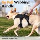 thumbnail image 4 of Arnés para perros Rabbitgoo Escape Proof de cuerpo entero L negro, 4 of 8