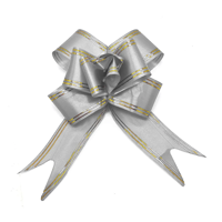 Genérico - Cinta Magica 45X72Cm Plateado X10Uni