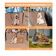 thumbnail image 4 of Coche Cubre Asiento Mascota Auto, 4 of 4