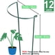 thumbnail image 2 of Estacas para plantas HiGift, paquete de 12, 24 cm x 60 cm, de metal, para interior y exterior, 2 of 7
