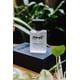 thumbnail image 4 of Cologne Midnight Pheromone Infused 30 Ml Para Hombres, 4 of 7