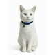 thumbnail image 3 of Collar Para Gato Gatita Anti Ahorque Con Lazo, 3 of 3