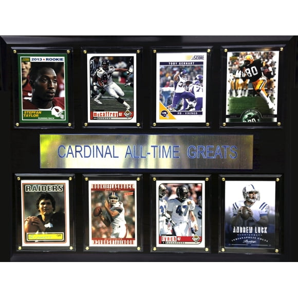 Placa C&I Collectables NCAA Stanford Cardinal Jugador 30 x 38 cm