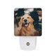 thumbnail image 1 of Golden Retriever Luz nocturna LED con sensor de anochecer a amanecer para dormitorio, baño, pasillo, escaleras - Lámpara LED nocturna de enchufe, 0.5W - 1 pieza, 1 of 6