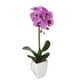 thumbnail image 2 of Orquídea morada de 52 cm en macetero, 2 of 2