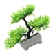 thumbnail image 4 of Plantas Artificiales En Maceta Que Dan La Bienvenida Al Adorno De Pino Para La Decoración Del Jardín De La Casa, 4 of 5
