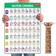 thumbnail image 1 of Diagrama de acordes LookVeeT A4 laminado para principiantes, 1 of 8