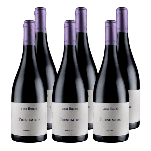 Vino Tinto Presumido Carmenere 13° Botella x6