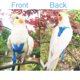 thumbnail image 3 of Arnés para aves VANFAVORI elástico con correa - 1 unidad, 3 of 7