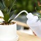 thumbnail image 2 of Xiao Hua Paquete de 2 Tetera Pequeña para Riego en Interiores, Adecuada para Plantas de Interior, Botella Blanca Exprimible, Tetera Pequeña para Riego de Plantas de Interior, Tetera de Riego de, 2 of 4