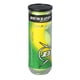 thumbnail image 1 of Pelota de tenis Dunlop Sports Champ Hard Court, lata de 3 pelotas, 1 of 1
